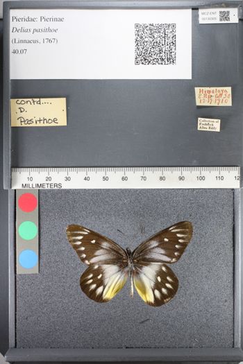 Media type: image;   Entomology 130305